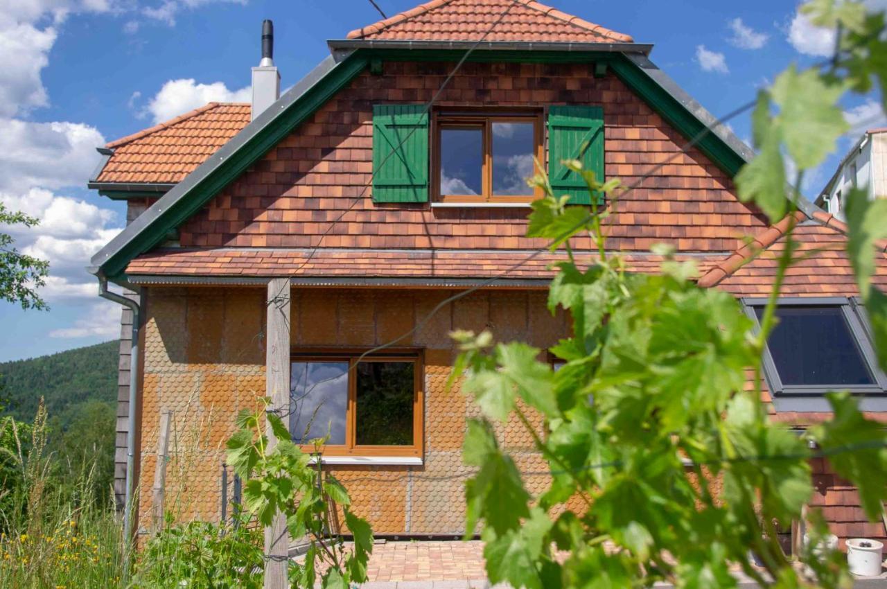 Le Gite Du Wildbach Wildersbach Exteriör bild
